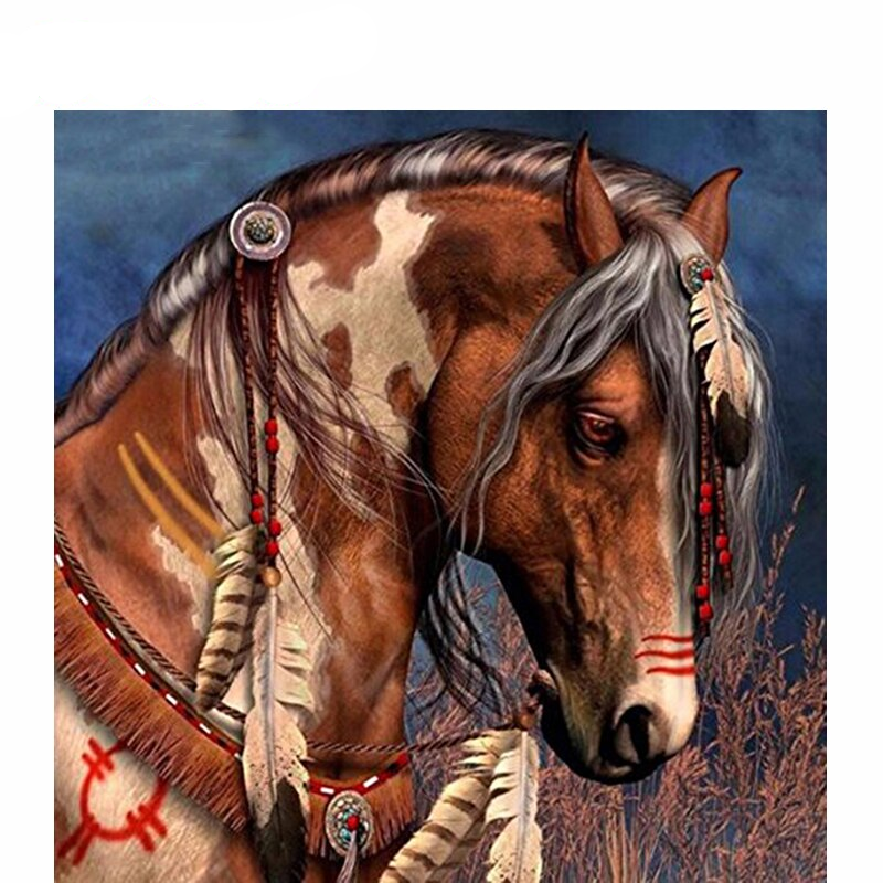 Indianen Paard | Diamond Painting
