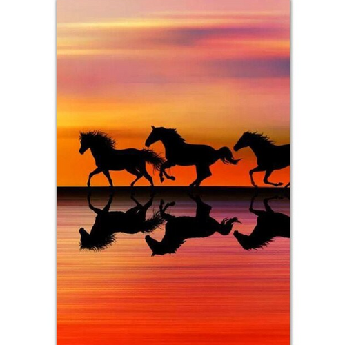Hästar - Solnedgång