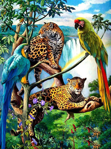 Leopard - Papegoja