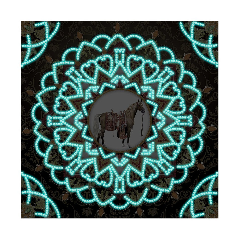 Mandala Glow In The Dark | Diamond Painting
