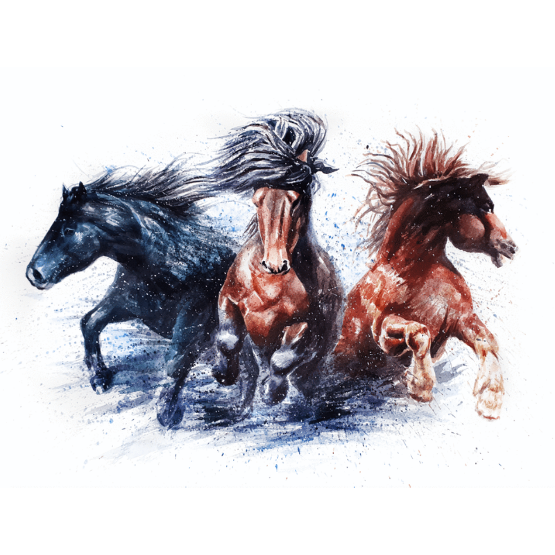 3 Paarden | Diamond Painting