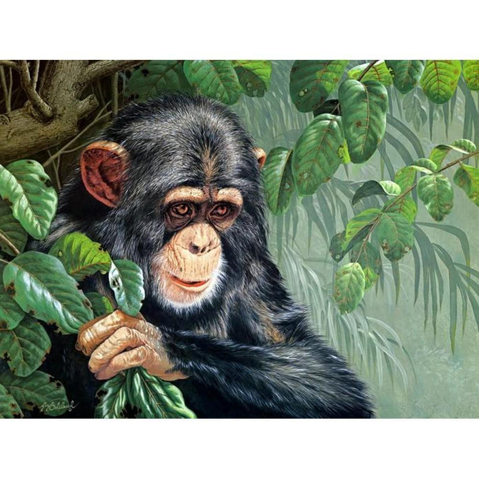 Chimpansee | Diamond Painting